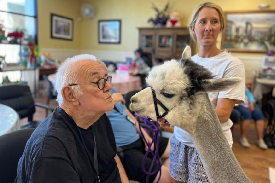 why daycation banner