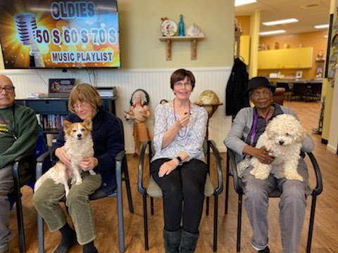 daycation companion pets 6